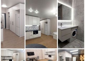 Сдаю в аренду квартиру студию, 30 м2, Ростов-на-Дону, Стабильная улица, 3с2