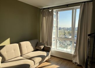 Сдача в аренду квартиры студии, 22 м2, посёлок Парголово, Толубеевский проезд, 8к2