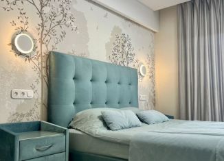 2-комнатная квартира в аренду, 72 м2, Псков, Ольгинская набережная, 5А