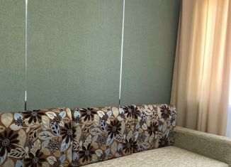 Сдается однокомнатная квартира, 34 м2, Владимир, Красноармейская улица, 32