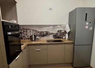 Сдам однокомнатную квартиру, 37.6 м2, Санкт-Петербург, улица Лидии Зверевой, 5к1, метро Проспект Просвещения