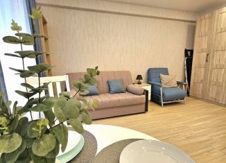 Сдача в аренду квартиры студии, 30 м2, Сочи, Шоссейная улица, 3Е