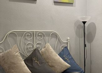 Аренда однокомнатной квартиры, 40 м2, Ростов-на-Дону, Пушкинская улица, 94