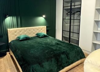 Сдам в аренду квартиру студию, 34 м2, Ростов-на-Дону, Тибетская улица, 1Вс11