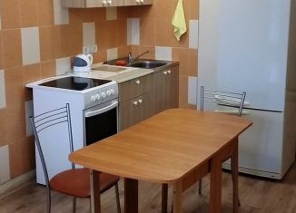 Сдается в аренду квартира студия, 30 м2, Новосибирская область, улица Аникина, 16