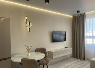 Сдача в аренду однокомнатной квартиры, 39 м2, Удмуртия, Союзная улица, 163к1