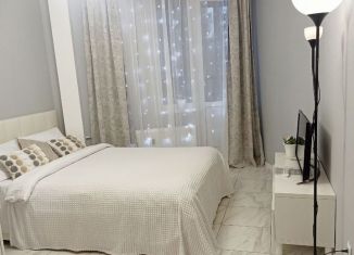 Сдам квартиру студию, 23 м2, Ломоносов, Михайловская улица, 51