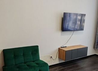 Сдаю в аренду 1-комнатную квартиру, 31 м2, Санкт-Петербург, улица Владимира Пчелинцева, 6к2, Красносельский район