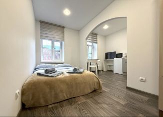 Сдаю в аренду квартиру студию, 17 м2, Санкт-Петербург, Херсонская улица, 15-17В, муниципальный округ Смольнинское