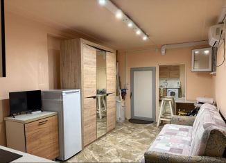 Аренда 1-ком. квартиры, 20 м2, Сочи, улица Макаренко, 35, микрорайон Заречный