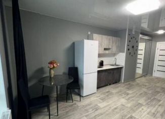 Сдам квартиру студию, 33 м2, Тюмень, Интернациональная улица, 197А