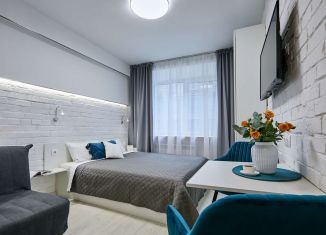 Сдача в аренду квартиры студии, 19 м2, Санкт-Петербург, 3-я Советская улица, 44-46, муниципальный округ Смольнинское