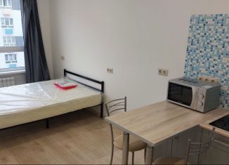 Сдаю в аренду квартиру студию, 19 м2, деревня Глухово, Романовская улица, 19, ЖК Новая Рига