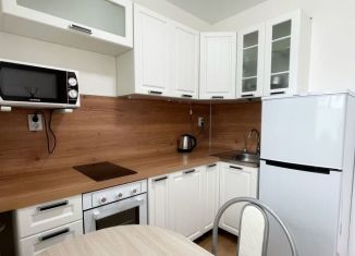 Сдаю квартиру студию, 23.8 м2, Мурино, проспект Авиаторов Балтики, 25