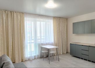 Квартира в аренду студия, 24 м2, Челябинская область, улица Вишнёвая Аллея, 1