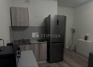 Сдам квартиру студию, 30 м2, Новосибирск, улица Гаранина, 43, Октябрьский район