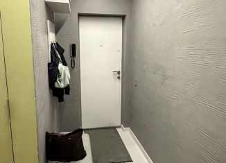 1-комнатная квартира в аренду, 29.9 м2, Томск, улица Карла Маркса, 42