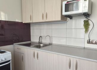 Сдам в аренду 2-ком. квартиру, 55 м2, Новосибирская область, Красный проспект, 30