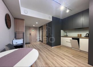 Квартира в аренду студия, 34.9 м2, Санкт-Петербург, Заозёрная улица, 3к3, Московский район