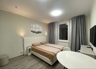 Сдача в аренду квартиры студии, 25 м2, Санкт-Петербург, Витебский проспект, 101к1, Московский район