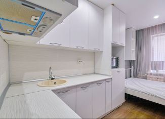 Сдается в аренду квартира студия, 13.7 м2, Томск, Сибирская улица, 33