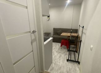 Квартира в аренду студия, 19 м2, Татарстан, Минская улица, 16