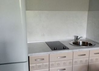 Сдача в аренду квартиры студии, 21 м2, Ломоносов, Михайловская улица, 51