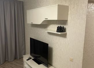 1-ком. квартира в аренду, 42.1 м2, Саратовская область, проспект Строителей, 9А