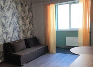 Сдается в аренду квартира студия, 21 м2, Краснодар, Тепличная улица, 104