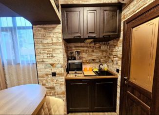 Сдается в аренду квартира студия, 20 м2, Сочи, Пластунская улица, 69А