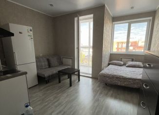 Сдача в аренду квартиры студии, 24 м2, Республика Башкортостан, улица Менделеева, 104