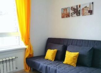 Сдача в аренду квартиры студии, 18 м2, Новосибирск, улица Фрунзе, 252/1, Дзержинский район