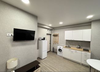 Сдам в аренду квартиру студию, 20 м2, Сочи, Пятигорская улица, 54/19