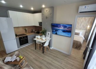 Сдается в аренду 1-комнатная квартира, 35 м2, Сочи, улица Аллея Челтенхема, 18