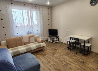 Сдам квартиру студию, 28 м2, Новосибирск, Гурьевская улица, 177/1, Октябрьский район