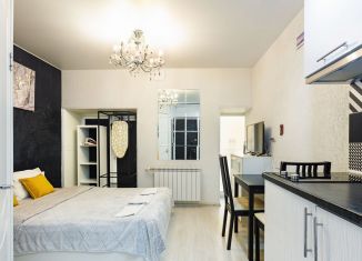 Сдам в аренду квартиру студию, 21 м2, Санкт-Петербург, 4-я Советская улица, 8, муниципальный округ Смольнинское