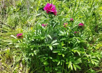 Продам дачу, 20 м2, Владимир