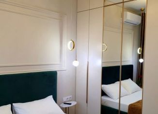 Сдаю 1-ком. квартиру, 36 м2, Сочи, переулок Трунова, 6к8