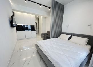Сдается квартира студия, 28 м2, Сочи, Донская улица, 108Ак1