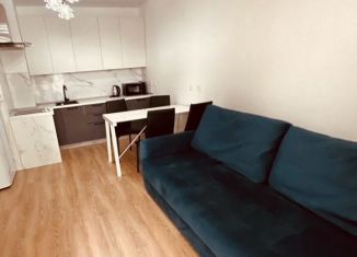 Аренда квартиры студии, 28.7 м2, Томская область, Нефтяная улица, 15