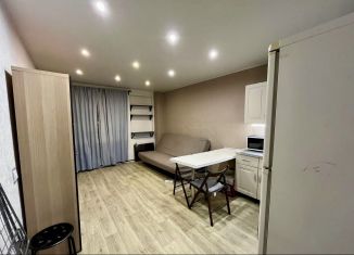 Сдаю квартиру студию, 26 м2, Санкт-Петербург, проспект Маршала Жукова, 41, метро Юго-Западная