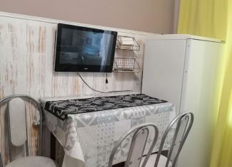 1-ком. квартира в аренду, 22 м2, Геленджик, Ульяновская улица, 23