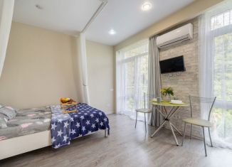 Аренда квартиры студии, 30 м2, Сириус, Цветочная улица, 15/20