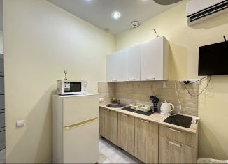 Сдается в аренду квартира студия, 20 м2, Сириус, улица Тюльпанов, 25