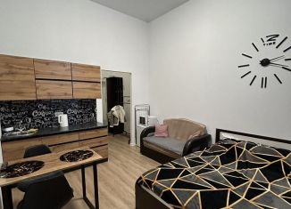 Сдаю квартиру студию, 20 м2, Ярославль, улица Лескова, 42