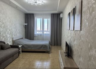 Аренда однокомнатной квартиры, 44 м2, Новосибирск, Нижегородская улица, 18, Октябрьский район