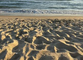 1-ком. квартира в аренду, 35 м2, село Витязево, Западная улица, 16