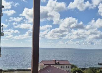 2-ком. квартира в аренду, 45 м2, Сочи, Белорусский переулок, 1