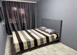 Аренда 2-комнатной квартиры, 44.3 м2, Тобольск, улица Семёна Ремезова, 116