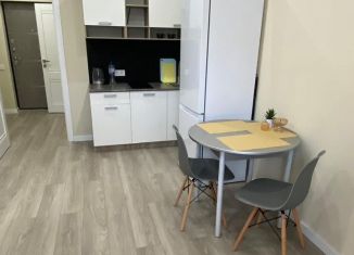 Квартира в аренду студия, 25 м2, Сочи, улица Искры, 88к3